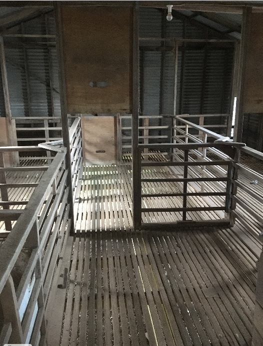 Shearing Shed Three Stand Livestock Equipment Wool and